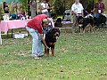 img 150